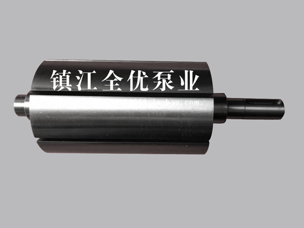 ZYBW轉子(zi)氣泵(beng)配件(jian)