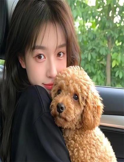 文化分析：《一切安好》中的政治的权力博弈与社会结构 理解文化认同的建构过程